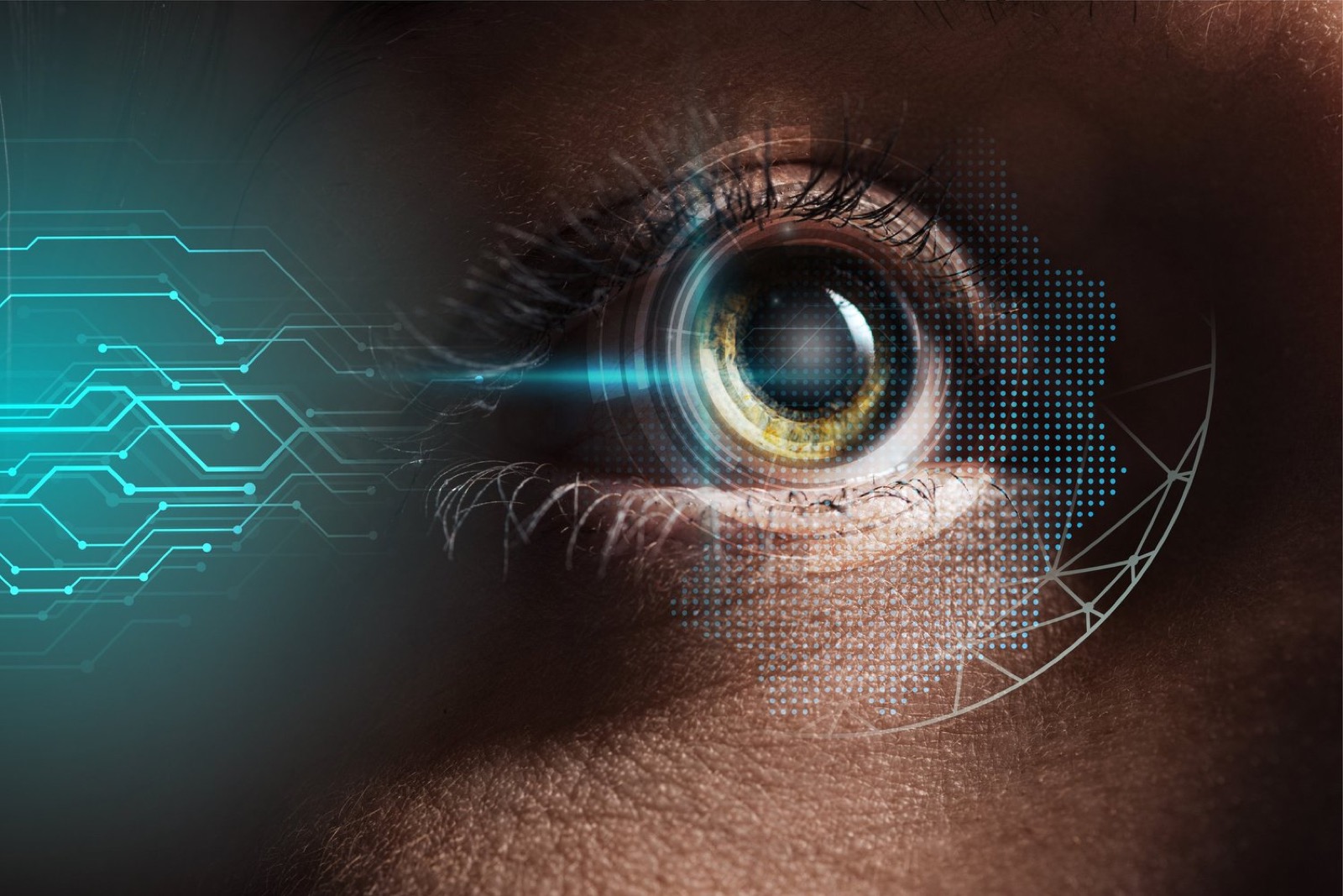 Close-up eye — focused vision